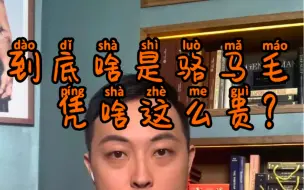 Descargar video: 揭秘史上最GUI面料！骆马毛Vicuna