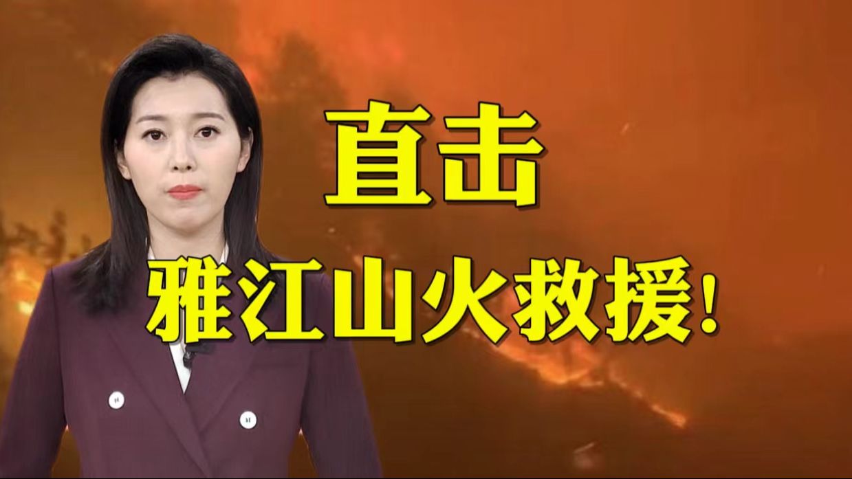 直击雅江山火救援:三火场平均海拔2600米 村民已及时转移【主播说三农】哔哩哔哩bilibili