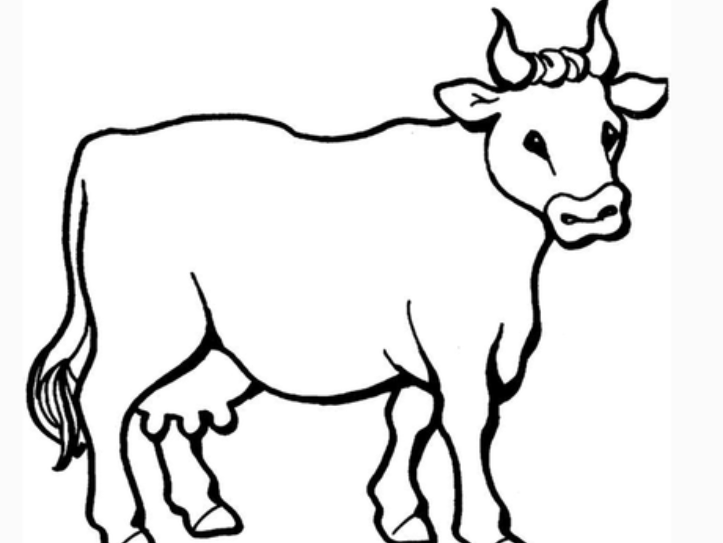 生肖牛的画画作品图片