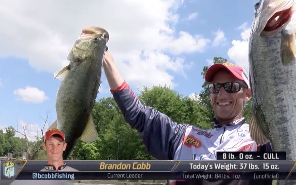 2019美国职业路亚比赛bassmastereliteatlakefork