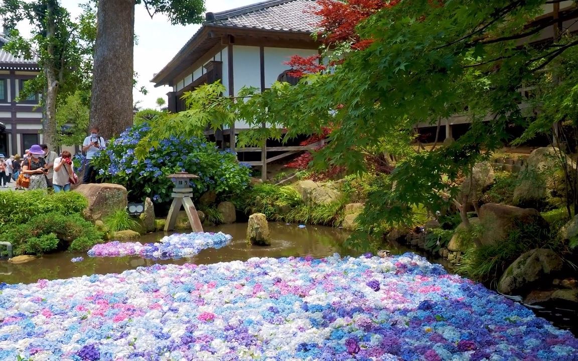 【超清日本】漫步茨城县 樱川市 雨引观音 2020.7哔哩哔哩bilibili