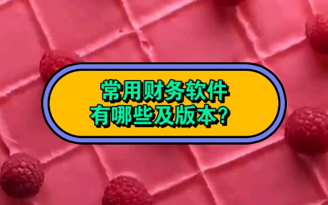 常用财务软件有哪些及其版本?不同类型公司适合哪些做账软件?哔哩哔哩bilibili