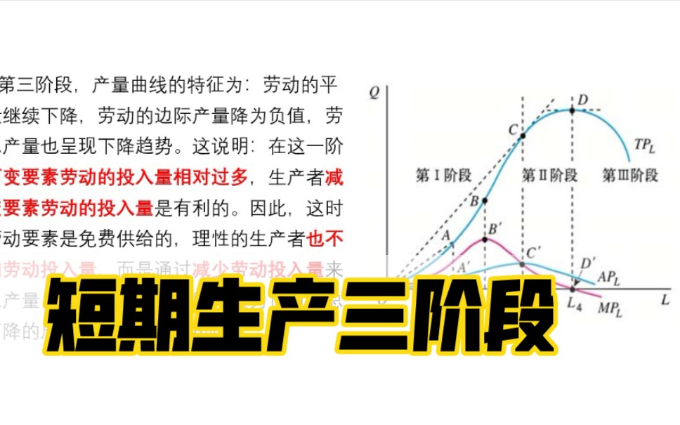 23经济学考研必背简答16【简述厂商短期生产的三个阶段,并说明为什么在第二阶段进行生产】哔哩哔哩bilibili