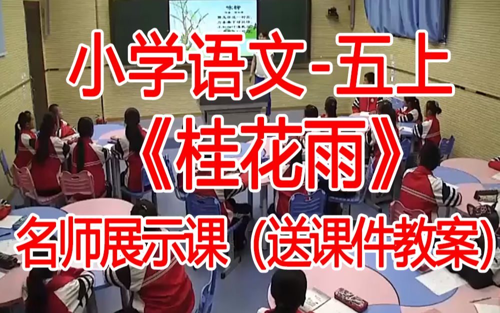 五上:《桂花雨》全国赛课获奖课例 部编版小学语文五年级上册 (有课件教案 ) 公开课获奖课哔哩哔哩bilibili