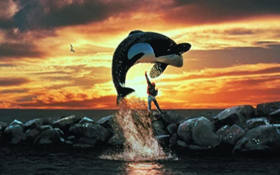 [图]Free Willy - Will You Be There