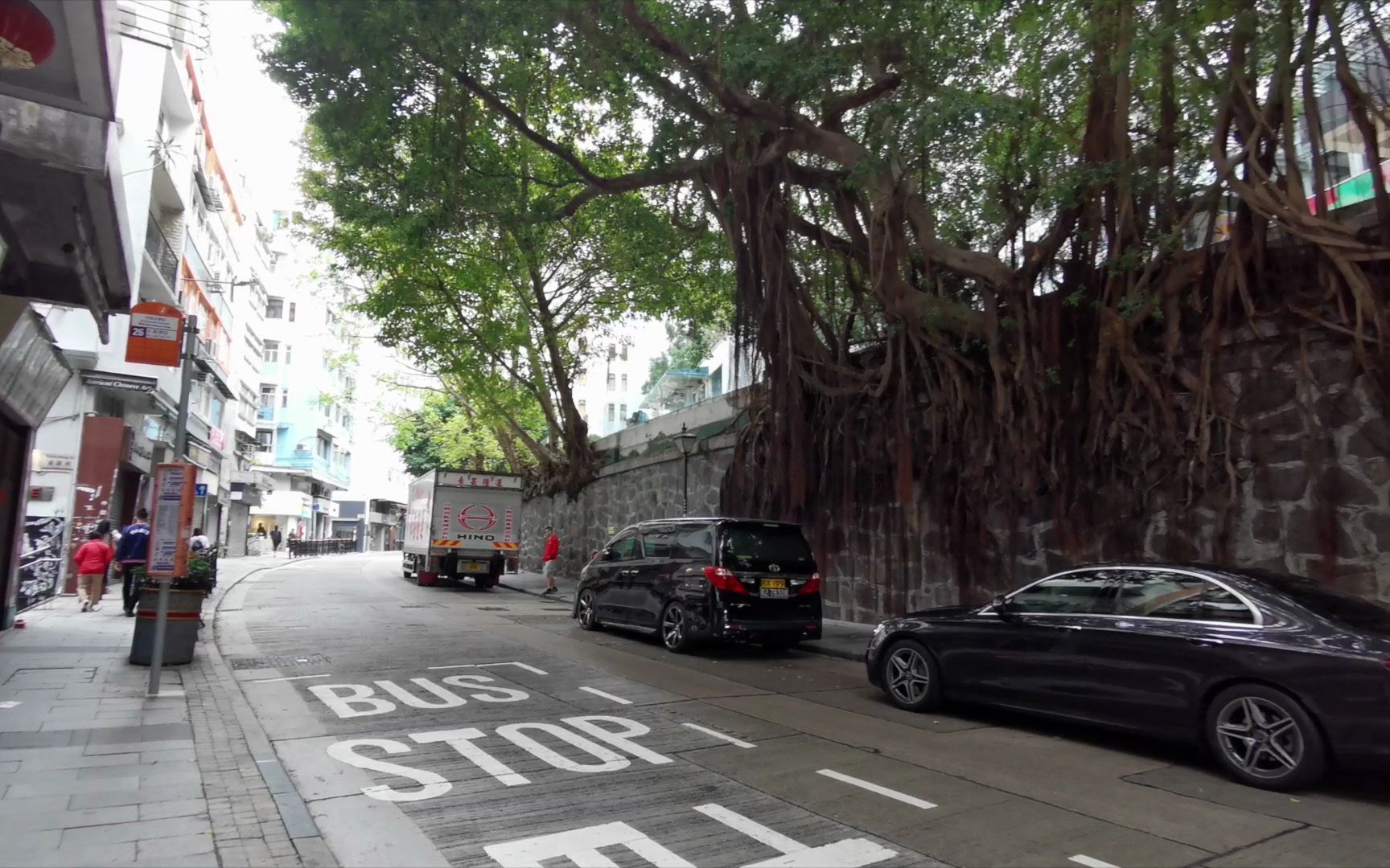 [图]香港 荷里活道 元创方 石墙树 2021-12-19 Hong Kong Hollywood Road PMQ stone wall trees