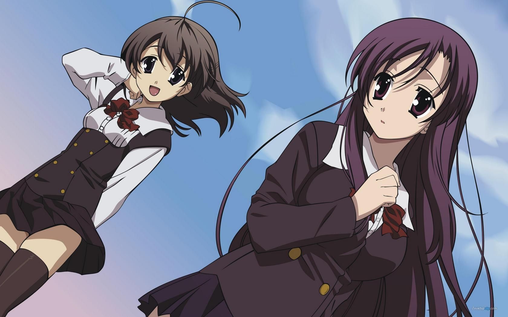 school days~向往悲伤的彼岸