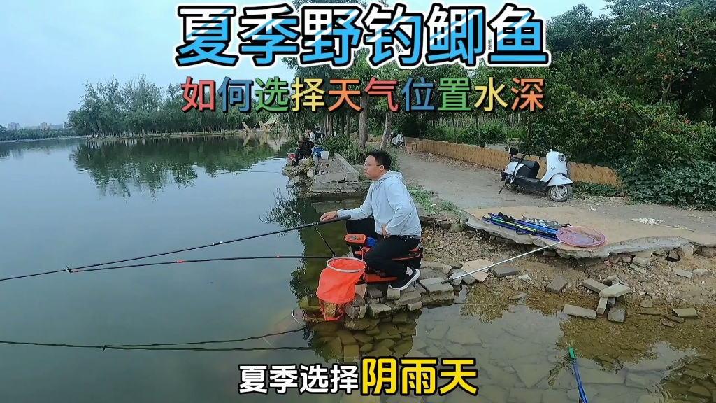 夏钓鲫鱼方法和技巧野钓实战