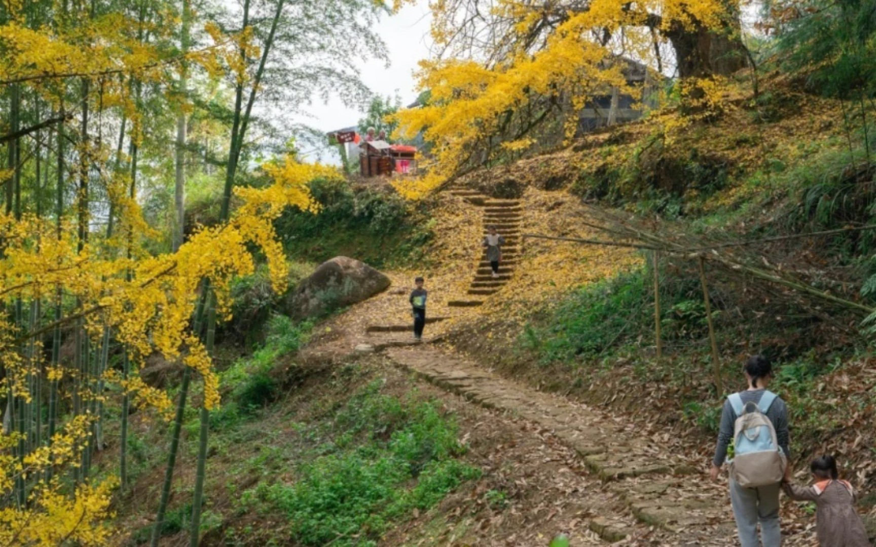 秋天出游山野间,秋高气爽