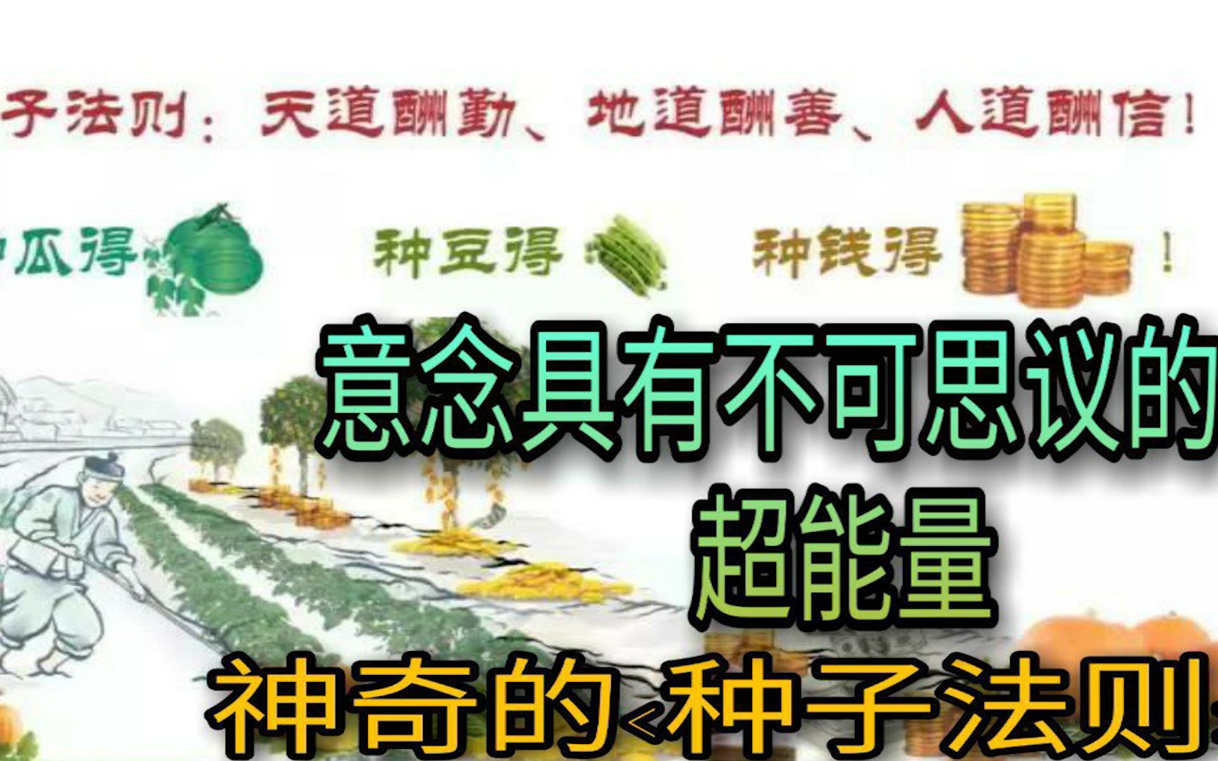 [图]神奇的【种子法则】|意念具有不可思议的超能量