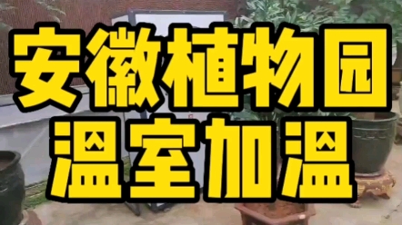 安徽安庆市植物园温室大棚花卉市场 采用飞龙水源热泵空调加温哔哩哔哩bilibili