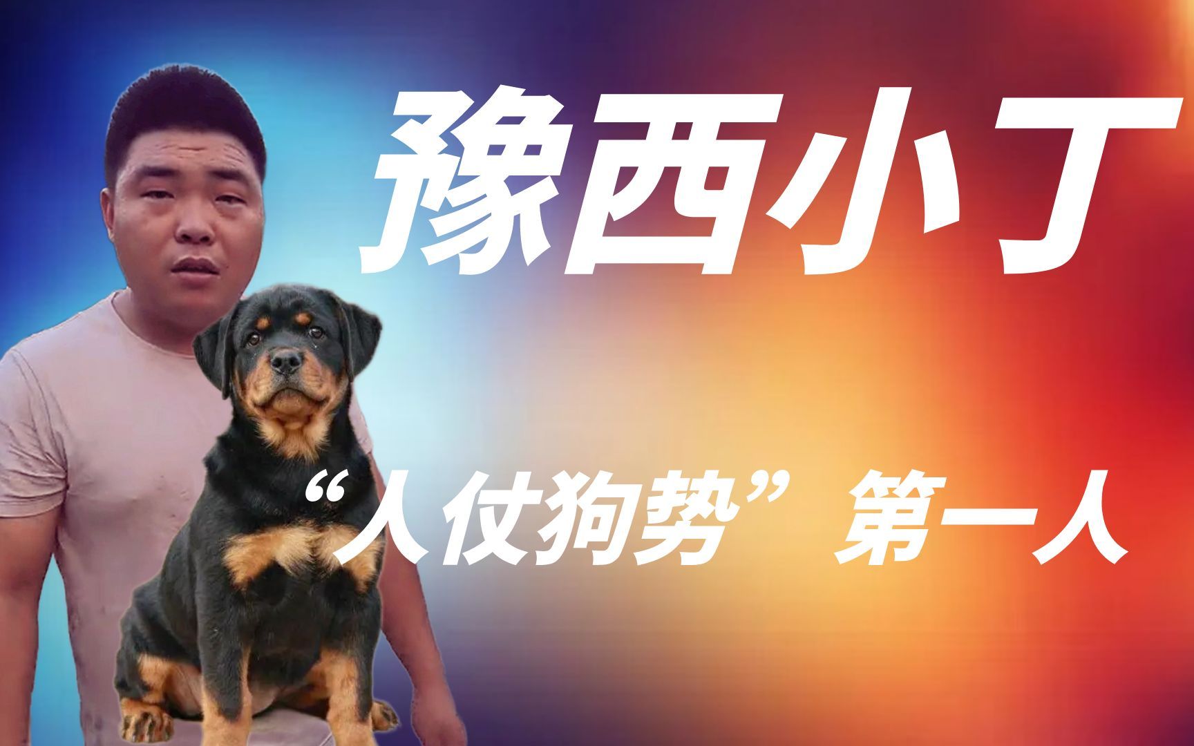 十年训狗无人问，人仗狗势天下知，黑豹：这个家没我得散啊