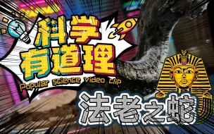 Download Video: 【科学有道理】4K系列科普短片之法老之蛇