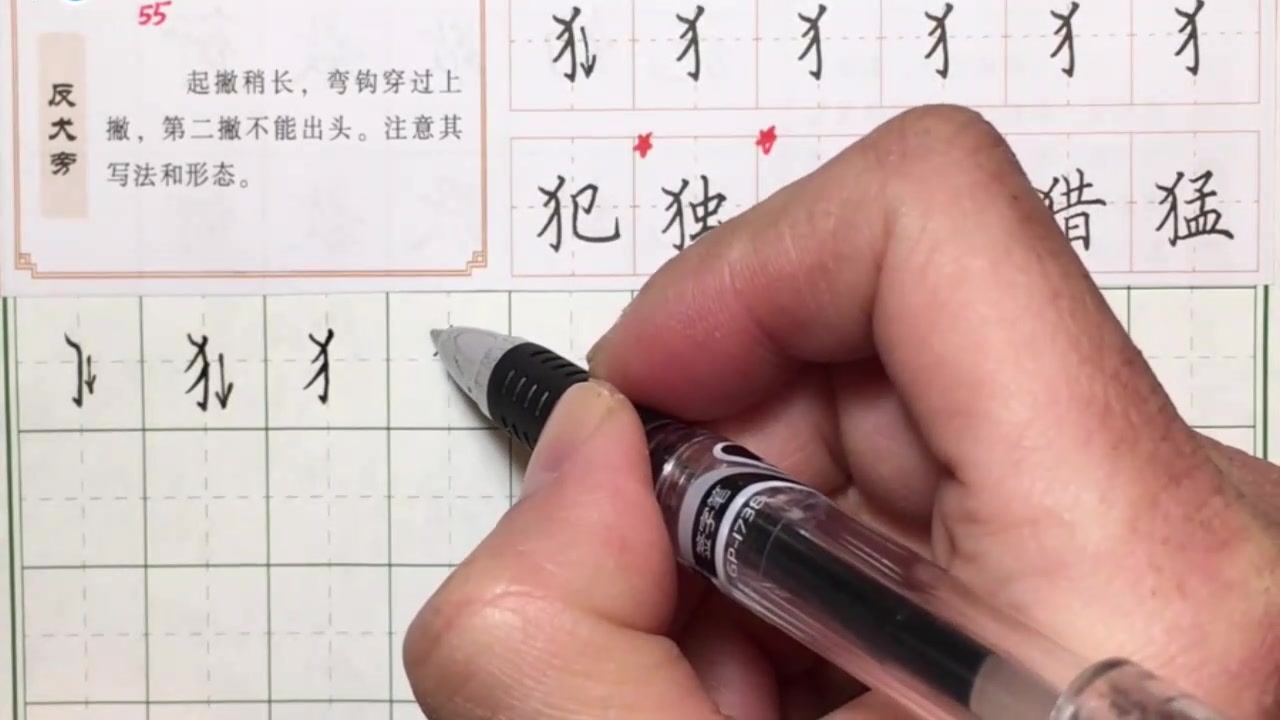 硬笔书法教程反犬旁一学就会