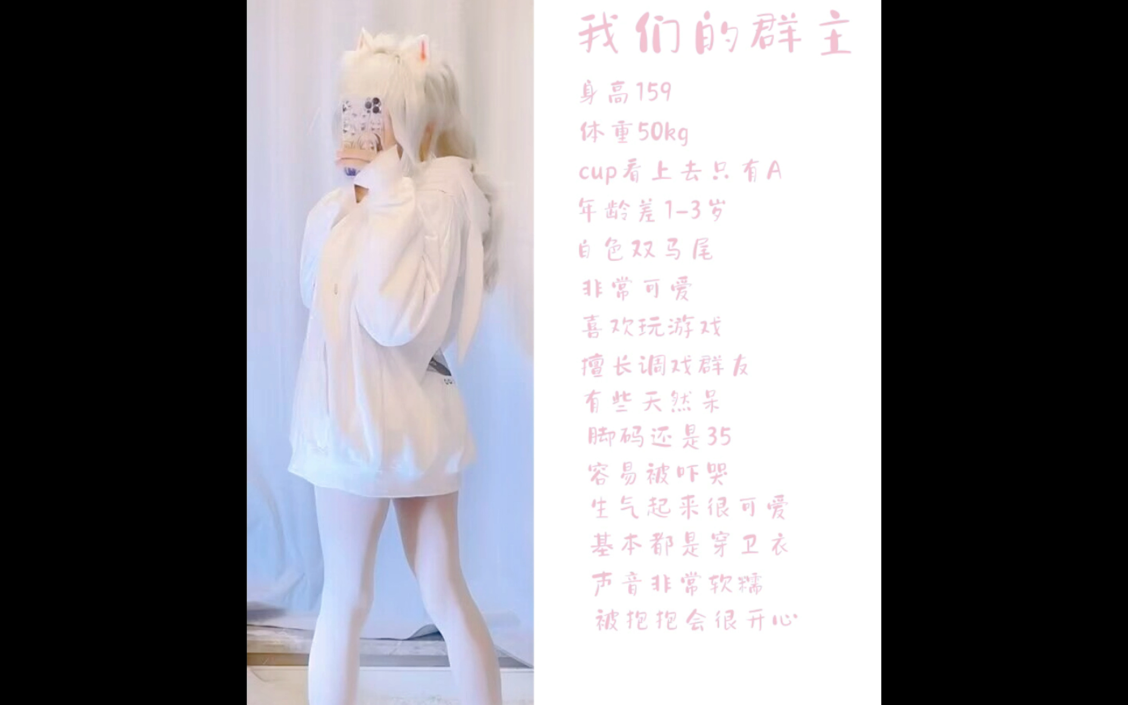 当代猫窝现状(5)哔哩哔哩bilibili