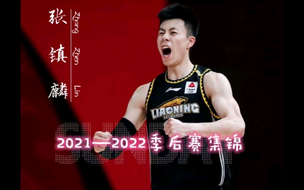 张镇麟2021—2022赛季,季后赛集锦,一次看个够!