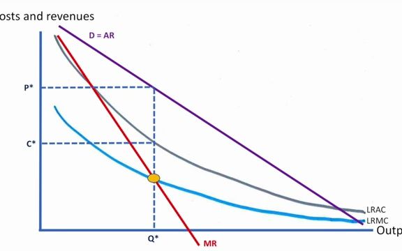 自然垄断:Natural monopoly哔哩哔哩bilibili