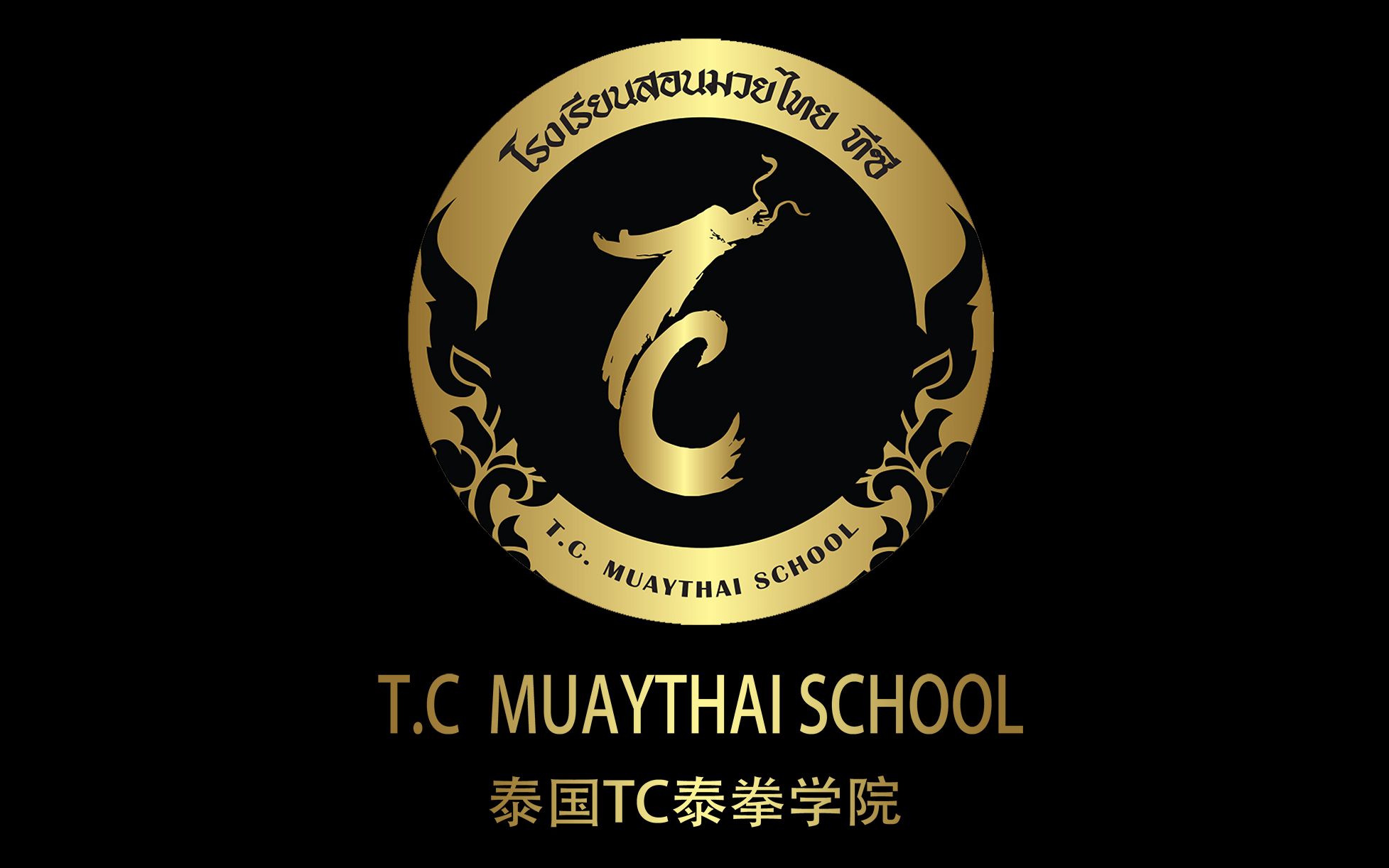 泰国tc泰拳学院基础线上教练课程