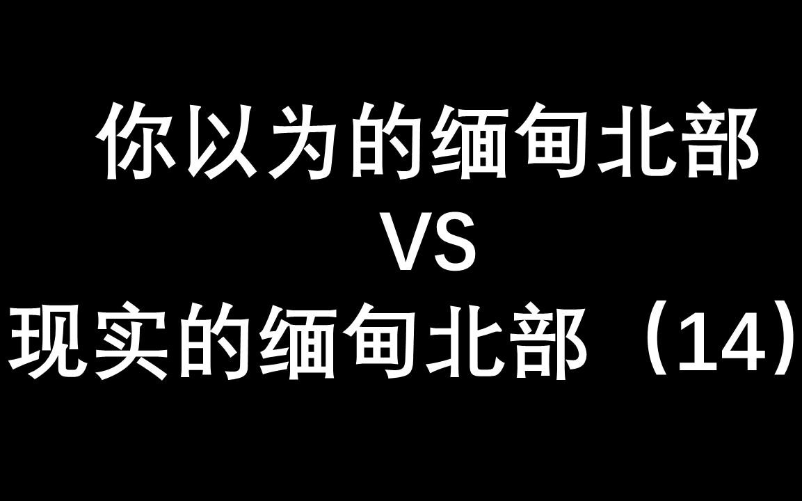 [图]这里是缅甸北部（14）这里噶腰子可疼了，不要来哇