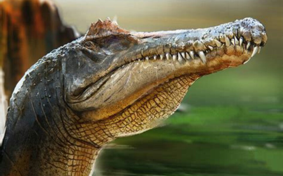 棘龙--渔樵隐士,垂钓流连川泽之间