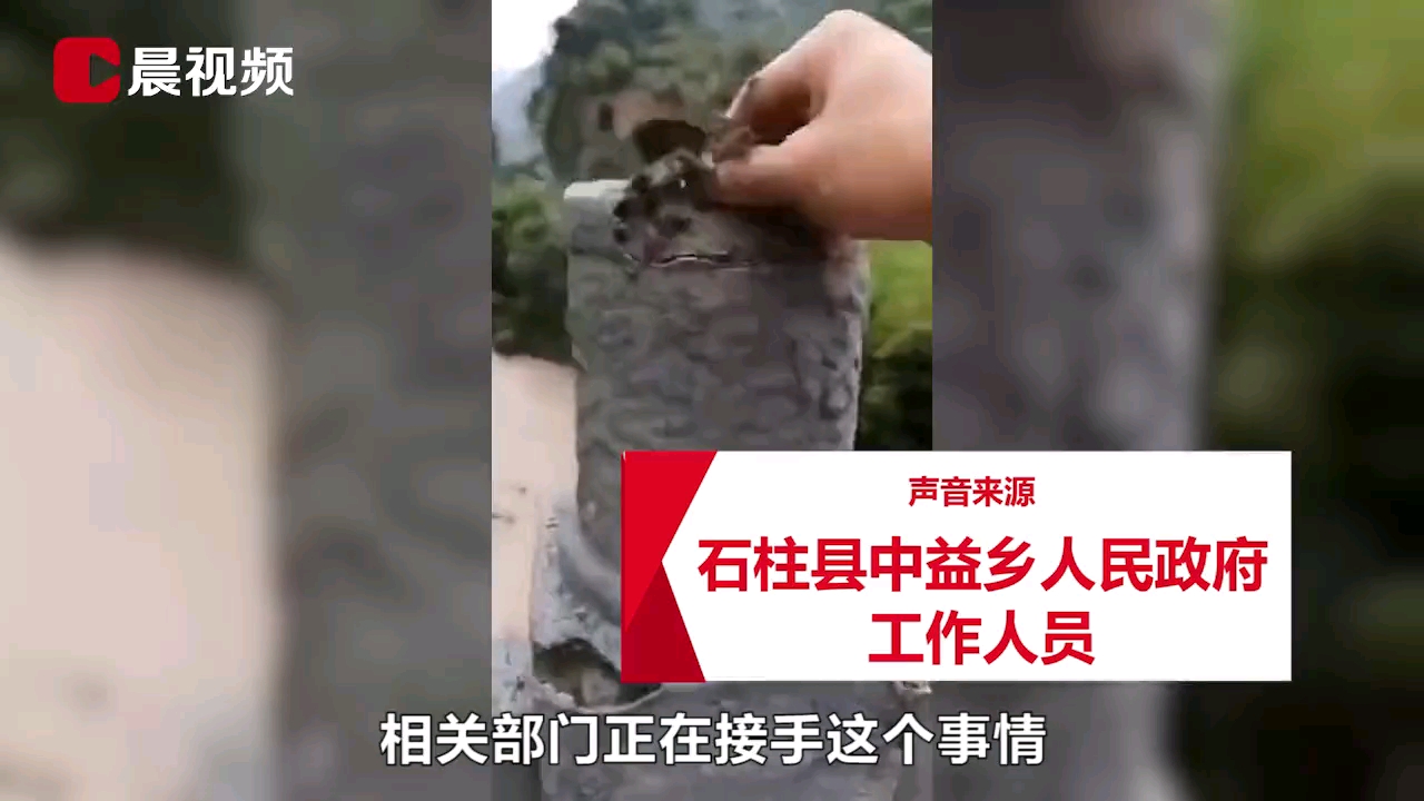 网传重庆一大桥雨后手一捏成泥状,当地政府:桥才修,不可能有质量问题哔哩哔哩bilibili