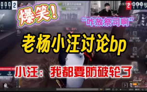 Download Video: 「老杨小汪讨论bp」小汪：不知道啊，他放我就选啊.