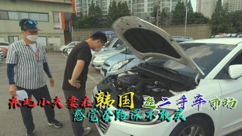 东北小夫妻在韩国 逛二手车市场 感觉套路深不敢买 哔哩哔哩