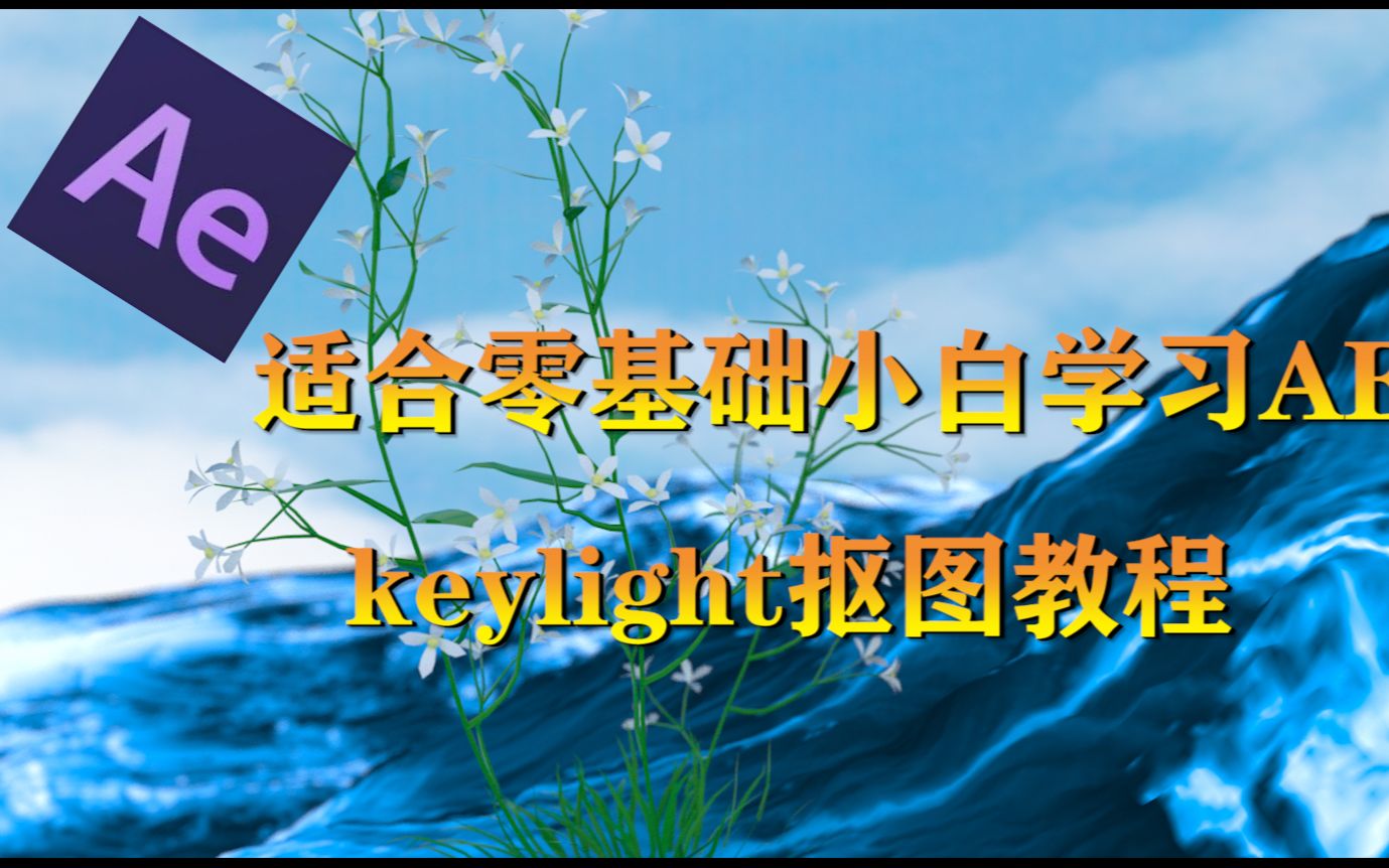 PR教程:零基础学习 keylight抠图教程哔哩哔哩bilibili