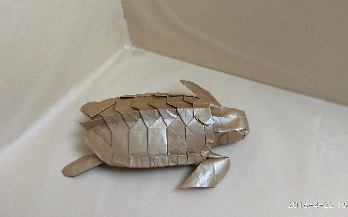 折纸神谷海龟