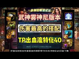 Download Video: dnf武神雾神尼版本伤害最高的搭配，TP出血流特化40全方位攻略