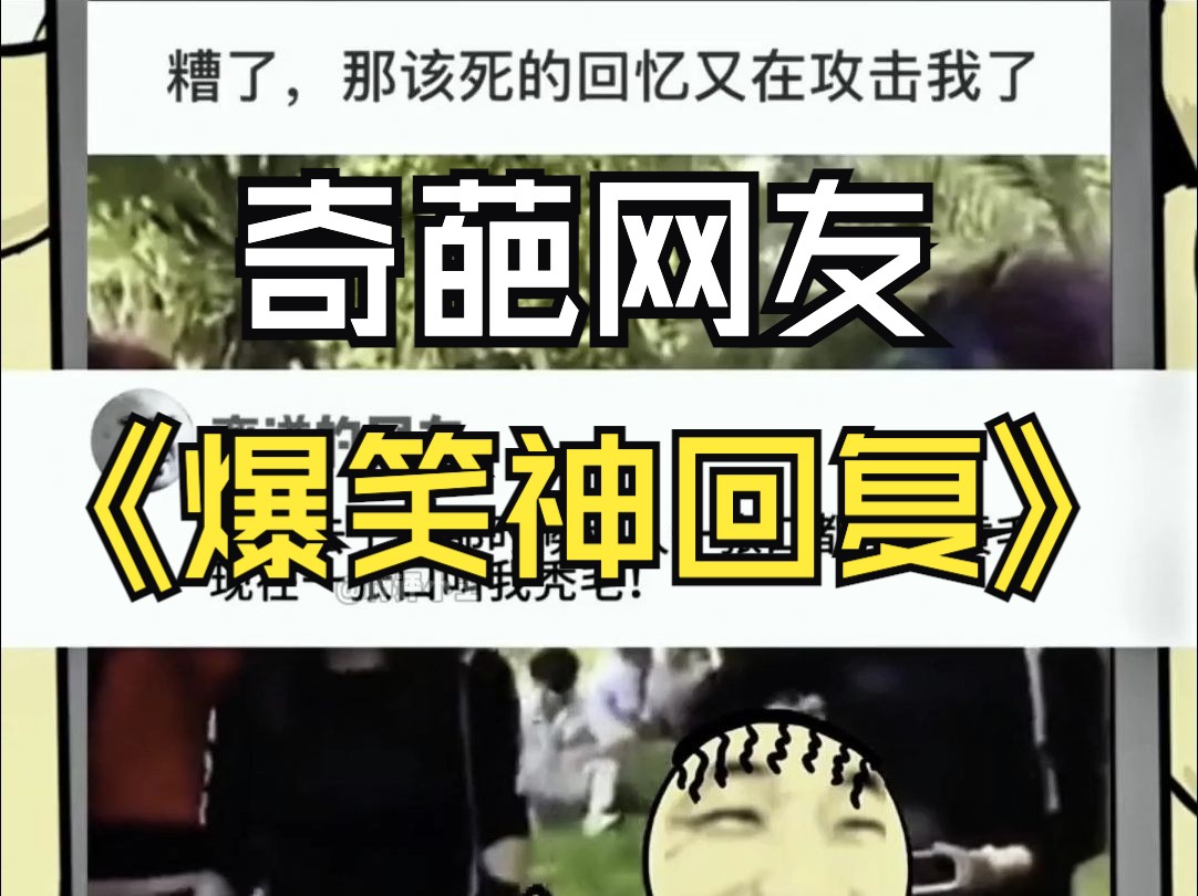 奇葩网友爆笑神回复!哔哩哔哩bilibili