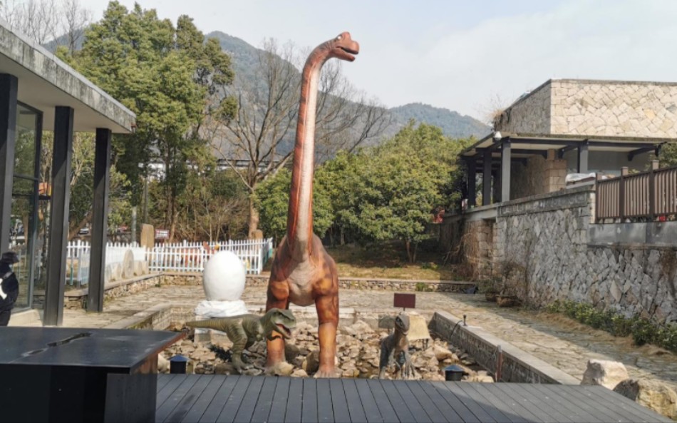 天台博物馆20230124