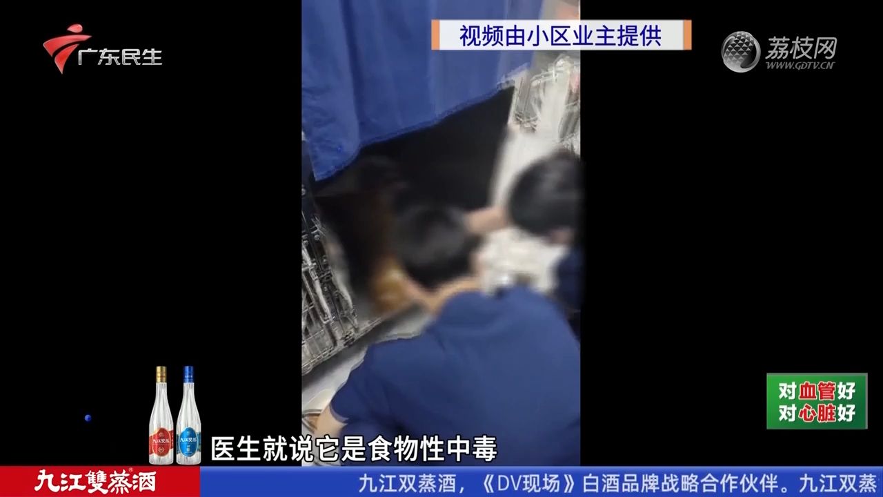 【粤语新闻】广州荔湾:业主反映小区流浪猫突然死亡 怀疑遭人投放“老鼠药”哔哩哔哩bilibili