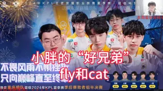 Download Video: 不愧是小胖“好兄弟”，cat和fly，一个注意小胖外表，一个注意小胖实力