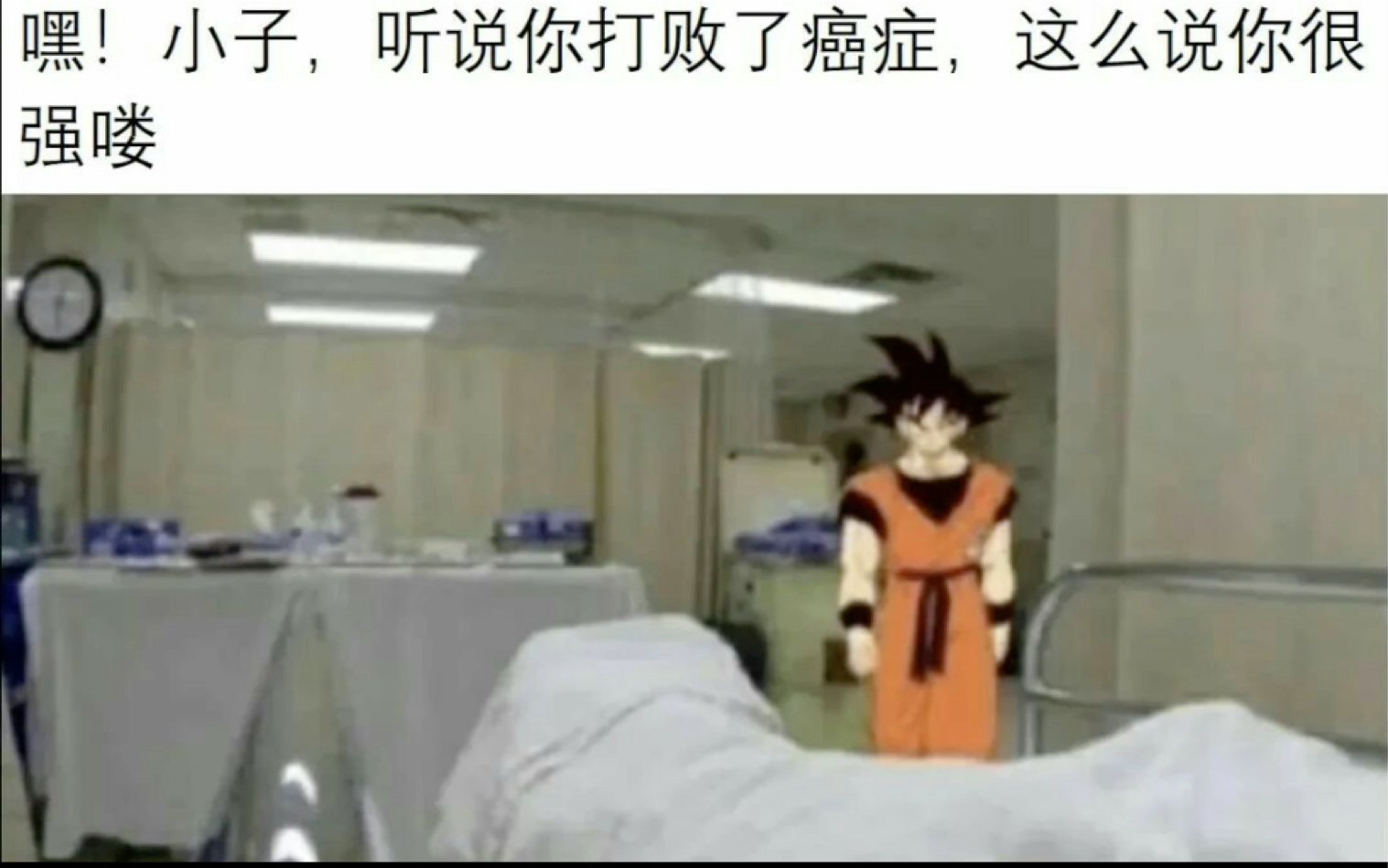 人间真实网络沙雕梗图(14)