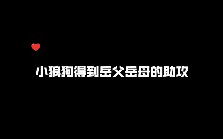 小狼狗得到岳母最大助攻!开心到飞起啦~哔哩哔哩bilibili