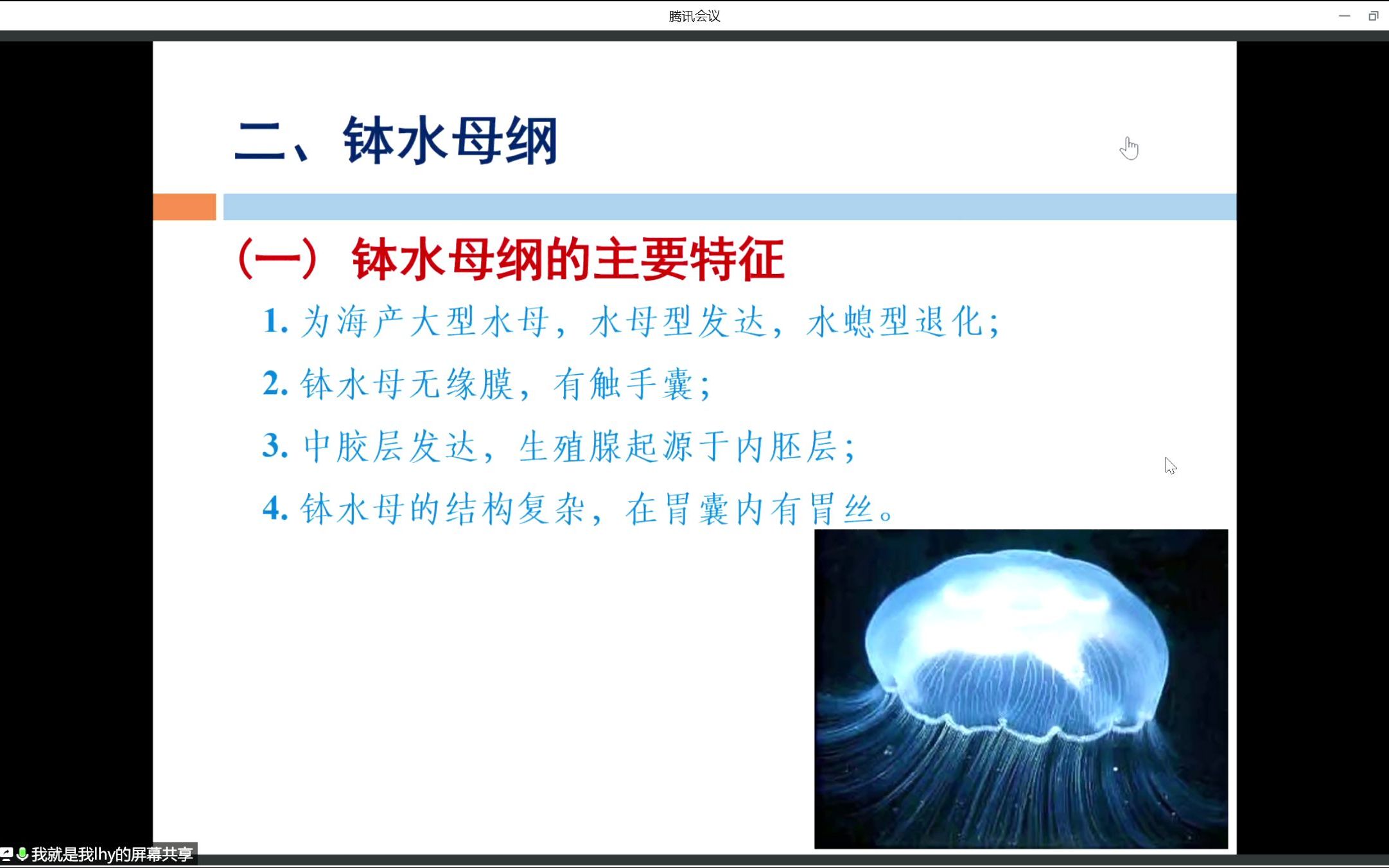 [图]普通动物学第四节上