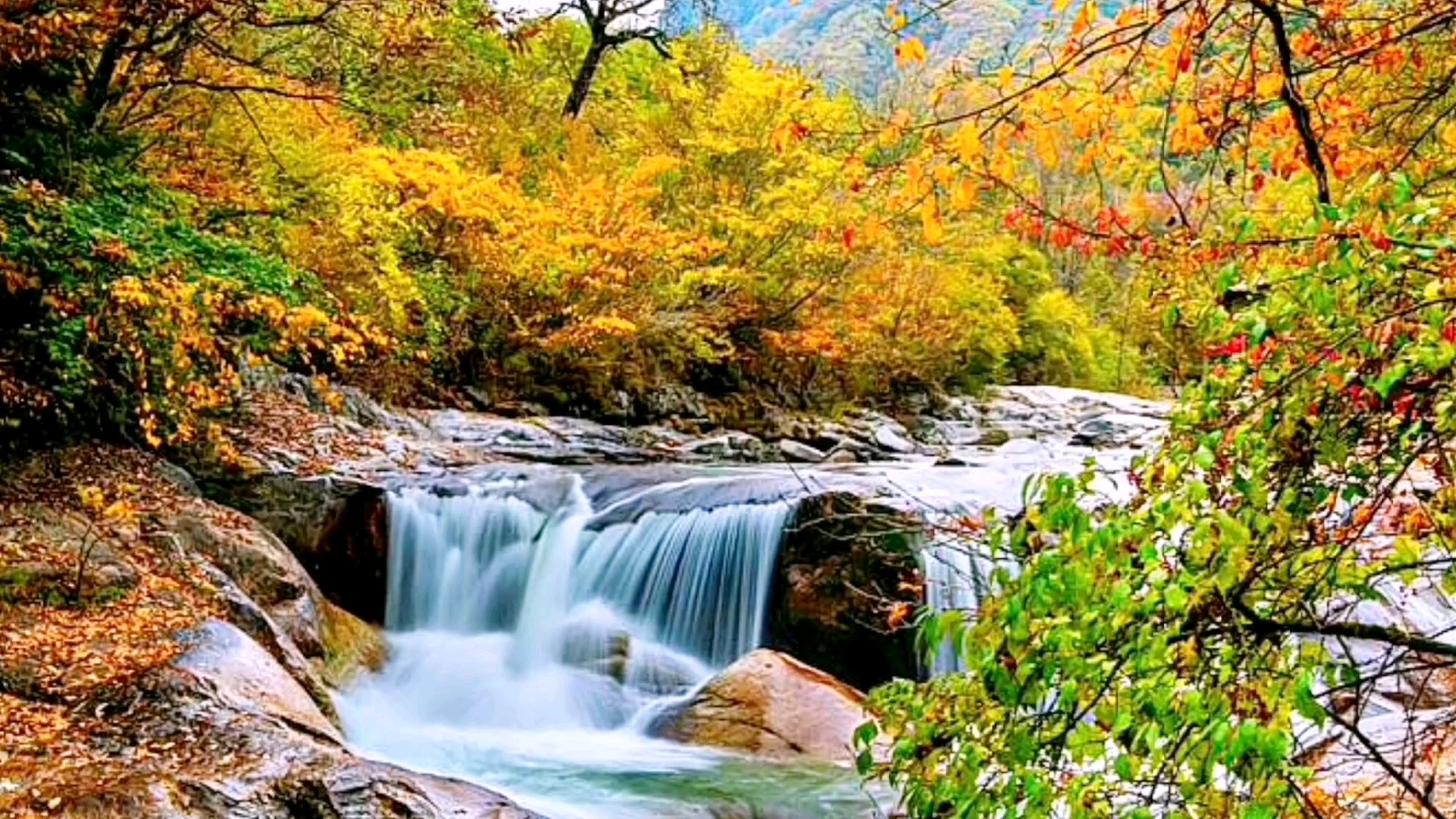 正是五彩缤纷时,黄柏塬风景区