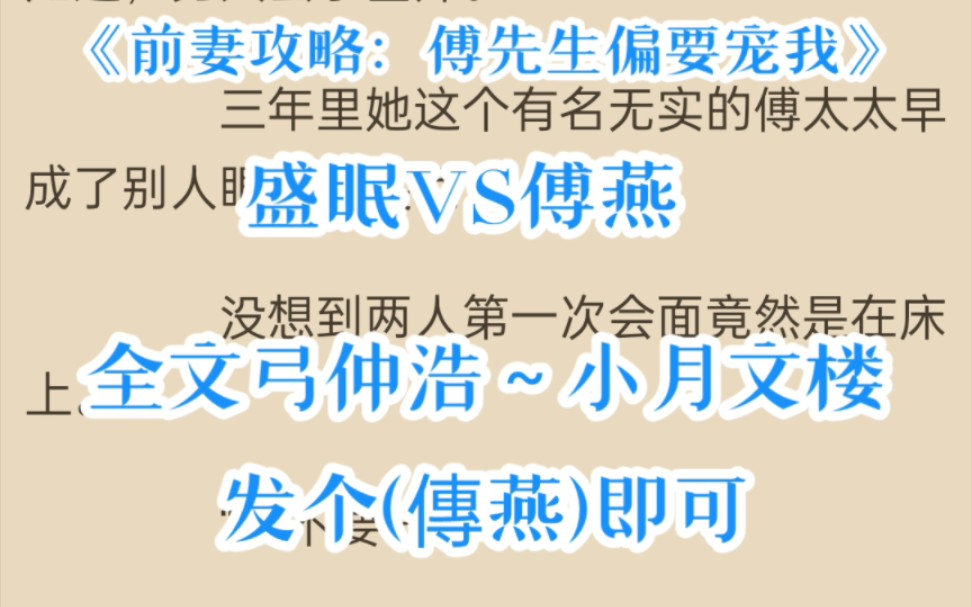 [图]热推言情小说《前妻攻略：傅先生偏要宠我》盛眠傅燕城 全文阅读