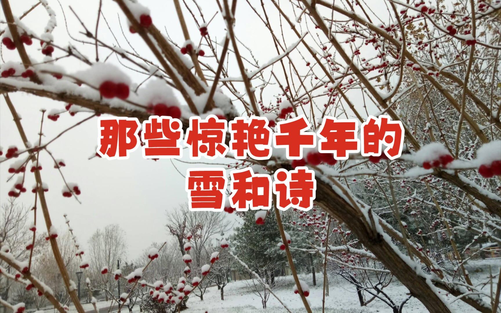 30首脍炙人口的咏雪诗.大雪绵绵密密,合该“赋诗”~哔哩哔哩bilibili