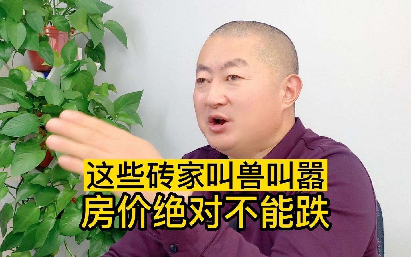 这些砖家叫兽叫嚣:"房价绝对不能跌"h