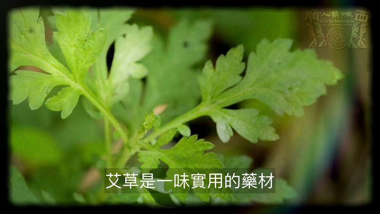 广西贵港桂平木乐话介绍美食:艾糍哔哩哔哩bilibili