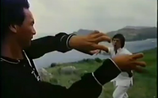 [图]【洪拳】虎形拳ⅤS鹤形拳