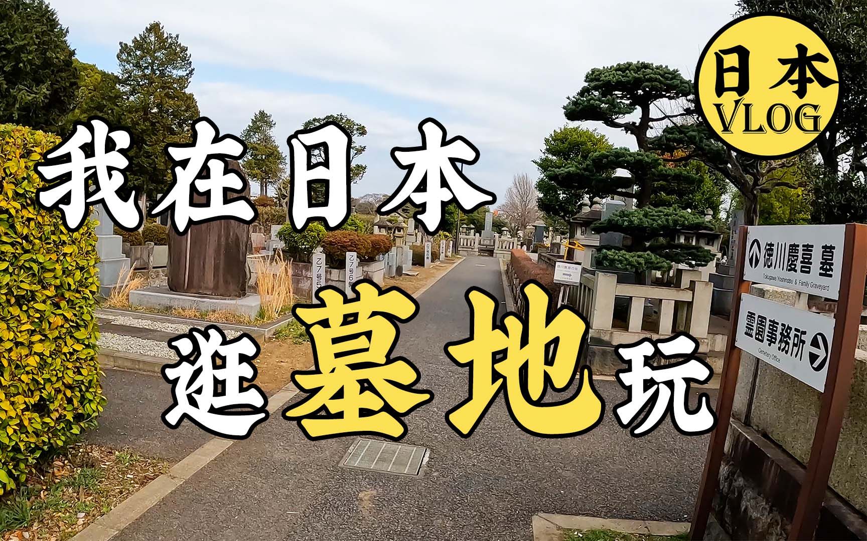 日本奇观"坟景房"?逛逛小众景点谷中灵园【云旅游】