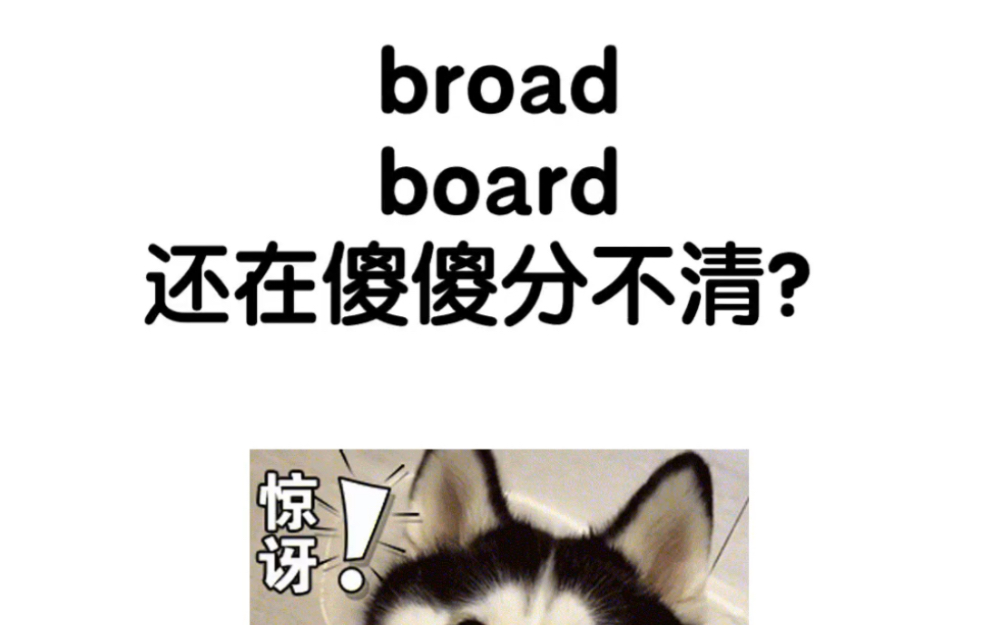 broad/board还在傻傻分不清?一个视频教会你!相似单词一网打尽!哔哩哔哩bilibili