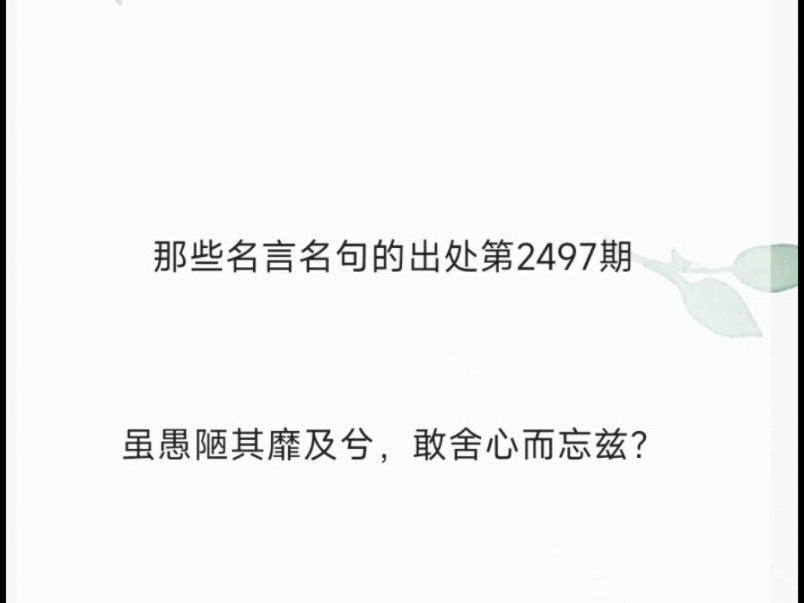 虽愚陋其靡及兮,敢舍心而忘兹?哔哩哔哩bilibili