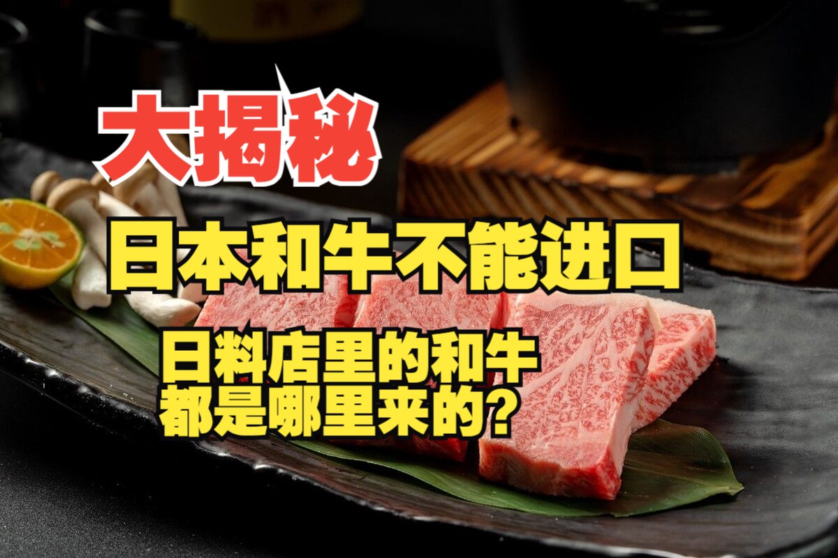 大揭秘!日本和牛不能进口?那日料店里的和牛都是哪里来的?哔哩哔哩bilibili