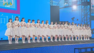 ひなくり2019-哔哩哔哩_Bilibili