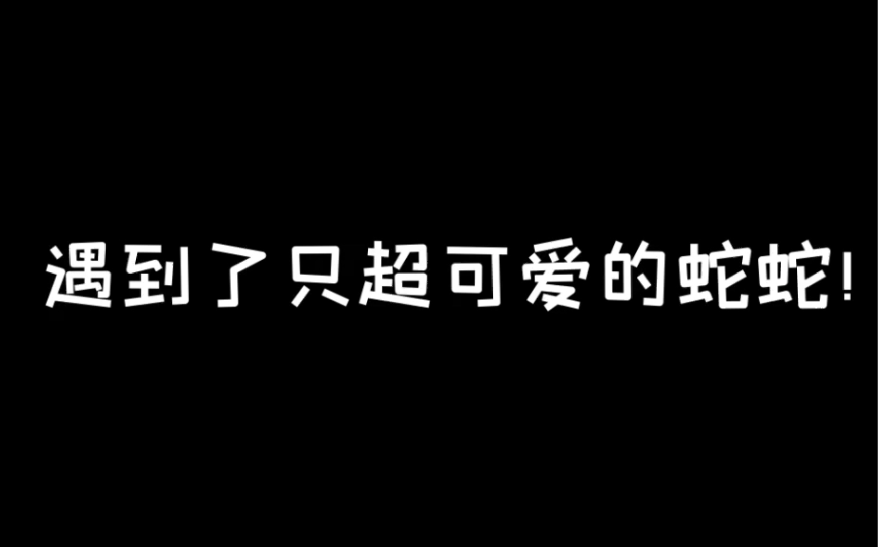 【哈利波特:魔法觉醒】一只小獾与蛇蛇的故事哔哩哔哩bilibili