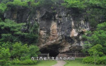 江西仙人洞遗址出土20000年前陶器,欧洲其实早有更早的?哔哩哔哩bilibili